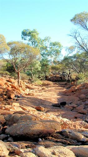 Dry Creek, Agnew, WA.